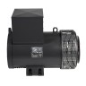 Mecc Alte ECP34-3L/4 (128 кВт)