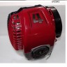 Двигатель бензиновый Zongshen S35 для TSS-VTZ-1.2 (SF-015-S35)/engine Zongshen S35