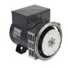 Mecc Alte ECP28-2VS/4 (8,8 кВт)